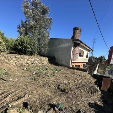 RP Landscaping - Gondomar - Baumstumpf oder -wurzel wegfräsen und entfernen
