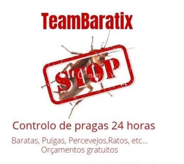 TeamBaratix - Odivelas - Desinfestação e Desbaratização