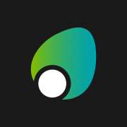 Berry Mind Marketing - Vila Franca de Xira - Web Content Writing