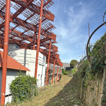 Machadoefernandes - Santo Tirso - Tree Trimming and Maintenance