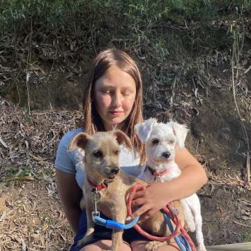 Go Pet - Vila Nova de Gaia - Treino de Cães - Aulas