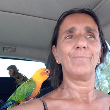 SBC PET - Seixal - Cuidar tus perros
