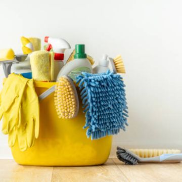 Limpeza Ideal - Santa Maria da Feira - Domestic Services