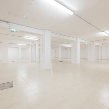 ESPECIALISTA: Manutenção e remodelação de casas; Construção de Estruturas interiores e exteriores, Aplicação de Piso Flutuante, Pintura, Limpeza Geral - Porto - Tapete ausbessern oder reparieren