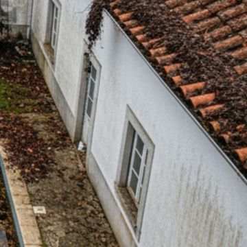 Marcelo Apassi - Montijo - Baumpflanzung