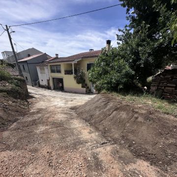 João Rodrigues - Miranda do Corvo - Baumpflege