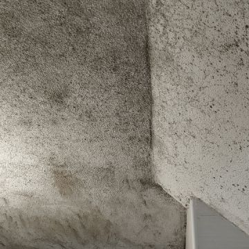 Sheyla Veras e Estan Veras - Vila de Rei - House Cleaning (Recurring)