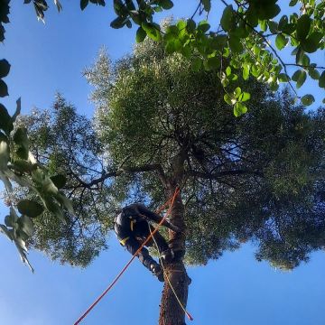 BEIRA GREEN SOLUCTIONS - Nelas - Kunstrasen verlegen