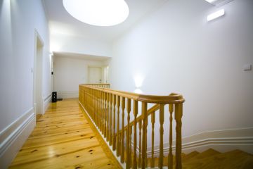 Vitor Fonseca - Valongo - Fotografia de Animais de Estimação