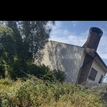 RP Landscaping - Gondomar - Baumpflege