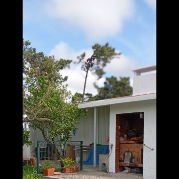 Phenomenal - Construção e Remodelação - Barreiro - Sauna Repair or Maintenance
