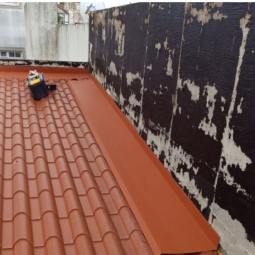 Igor - Reparação e limpeza de telhados - Penafiel - Limpeza e Manutenção de Calhas