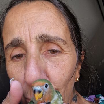 SBC PET - Seixal - Cuidar tus perros