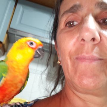 SBC PET - Seixal - Paseador de perros