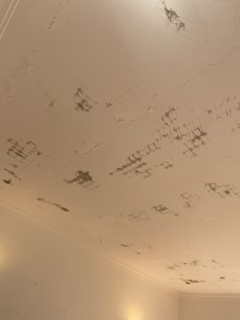 Interior Painter
