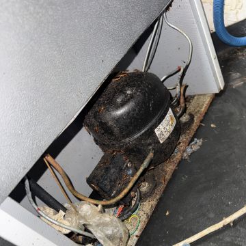 VRCleaning controlo de pragas. - Loures - Désinsectisation et dératisation