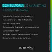 Berry Mind Marketing - Vila Franca de Xira - Social Media Management