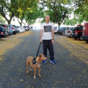 Pet sitting e Dog walking Faro Algarve - Faro - Dog Walking