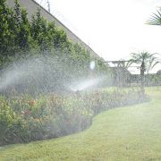 Armindo Pinto - Porto - Lawn Mowing and Trimming