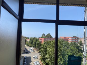 ESPECIALISTA: Manutenção e remodelação de casas; Construção de Estruturas interiores e exteriores, Aplicação de Piso Flutuante, Pintura, Limpeza Geral - Porto - Schimmelinspektion und -beseitigung