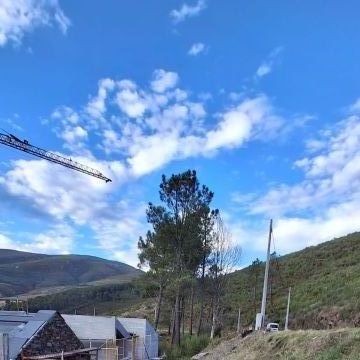 BEIRA GREEN SOLUCTIONS - Nelas - Entfernung von Gebüsch- und Baumaufwuchs