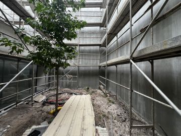 ESPECIALISTA: Manutenção e remodelação de casas; Construção de Estruturas interiores e exteriores, Aplicação de Piso Flutuante, Pintura, Limpeza Geral - Porto - Baumstumpf oder -wurzel wegfräsen und entfernen