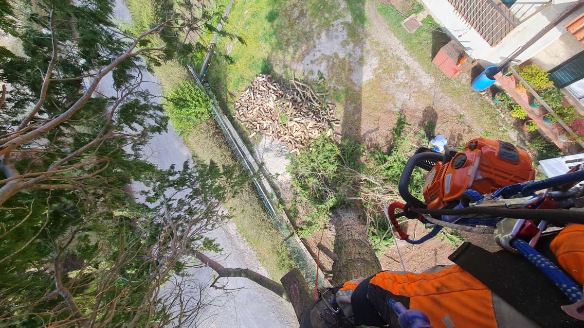 Carlos Mendes - Guimarães - Landscaping