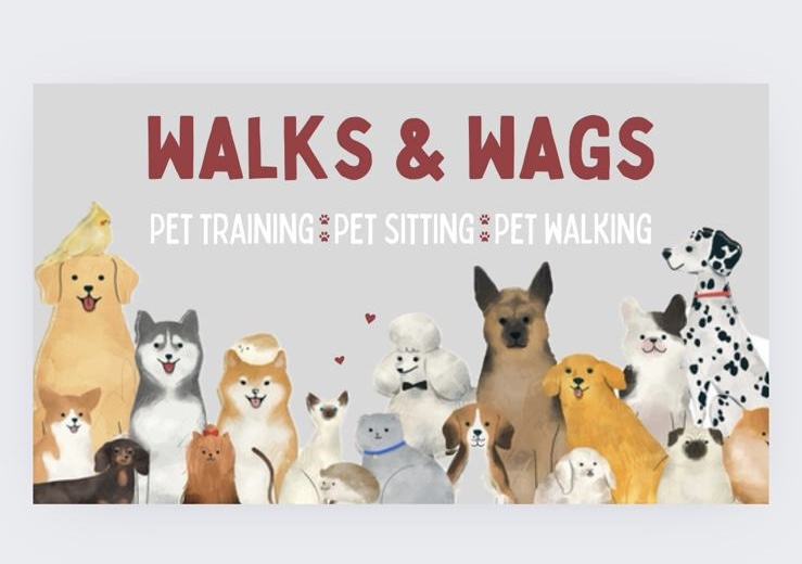 Miriam Sá - Braga - Pet Training