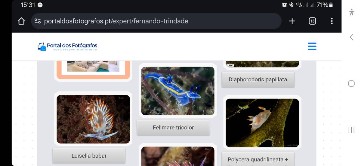 Portal dos Fotógrafos - Vila Franca de Xira - Digitalização de Fotografias