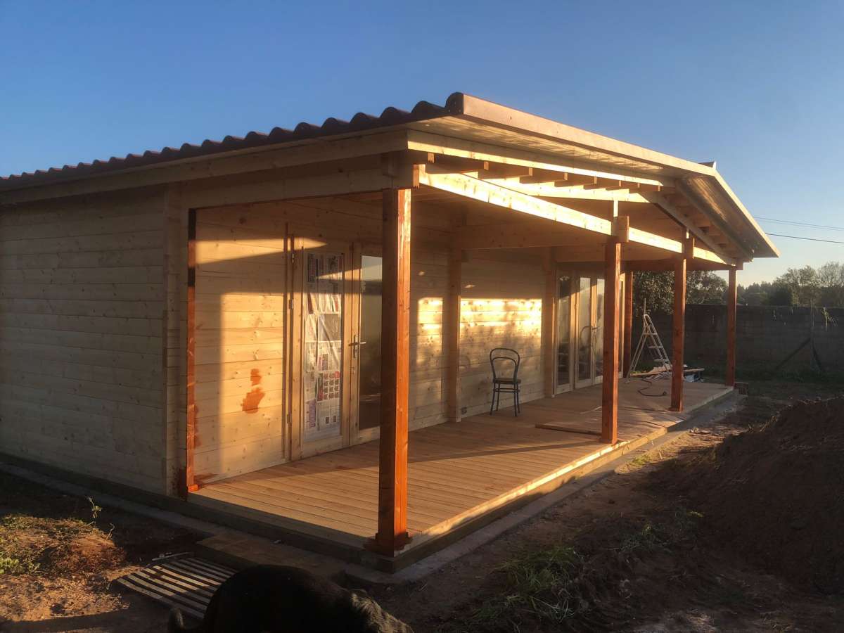 Carlos Martins - Santarém - Window Screen Work