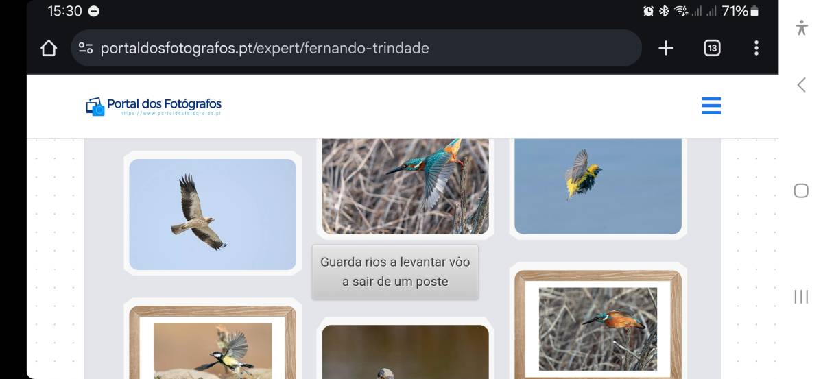 Portal dos Fotógrafos - Vila Franca de Xira - Fotografia Comercial