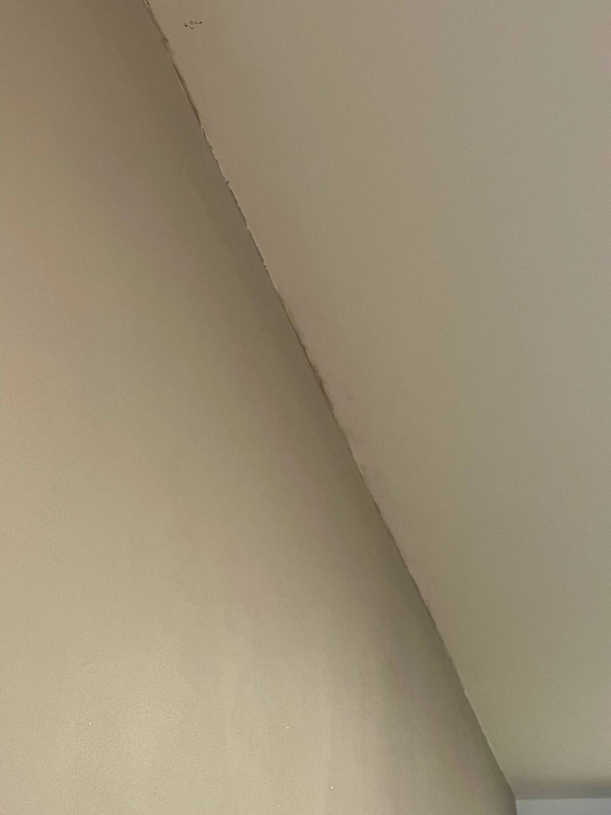 Painters