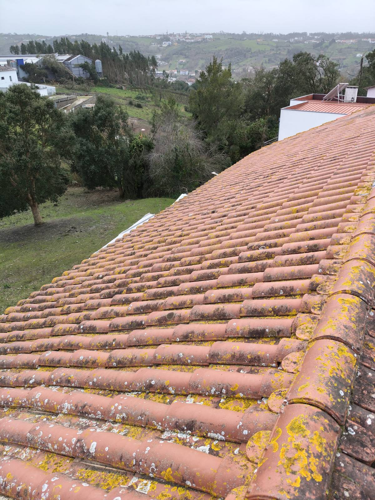 Tiago - Leiria - Manutenção e Reparação de Terraço