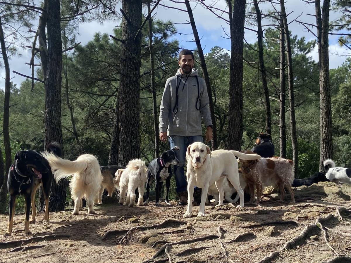 Lorran.adestrador - Odivelas - Dog Walking