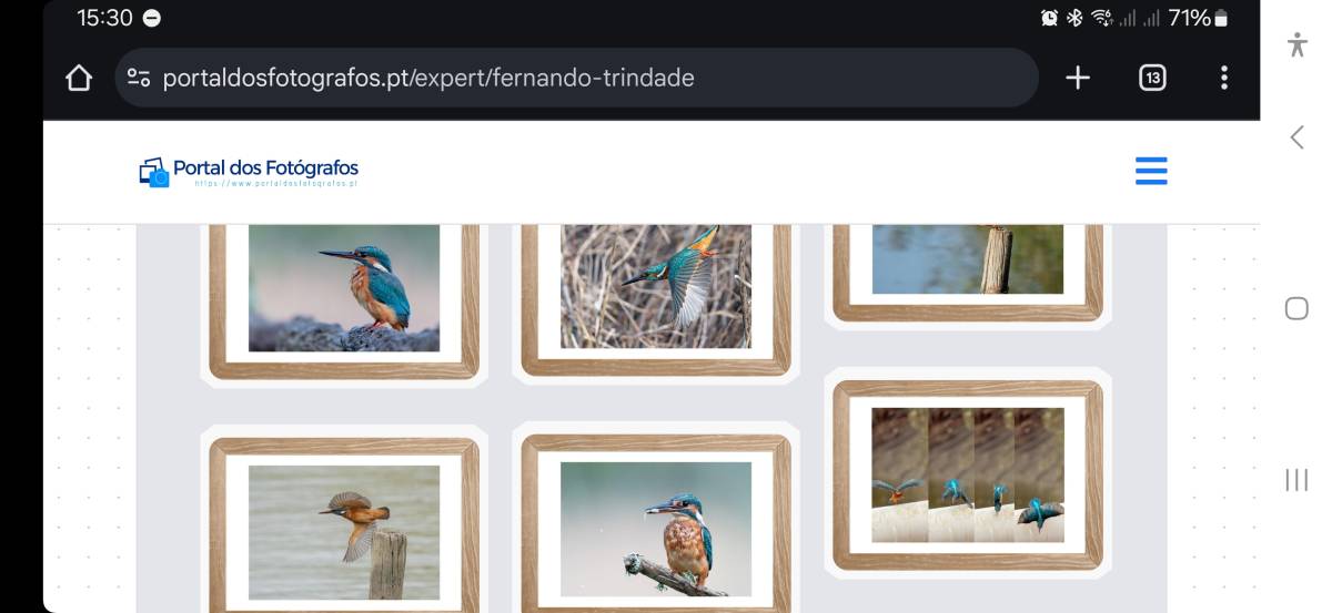 Portal dos Fotógrafos - Vila Franca de Xira - Fotografia