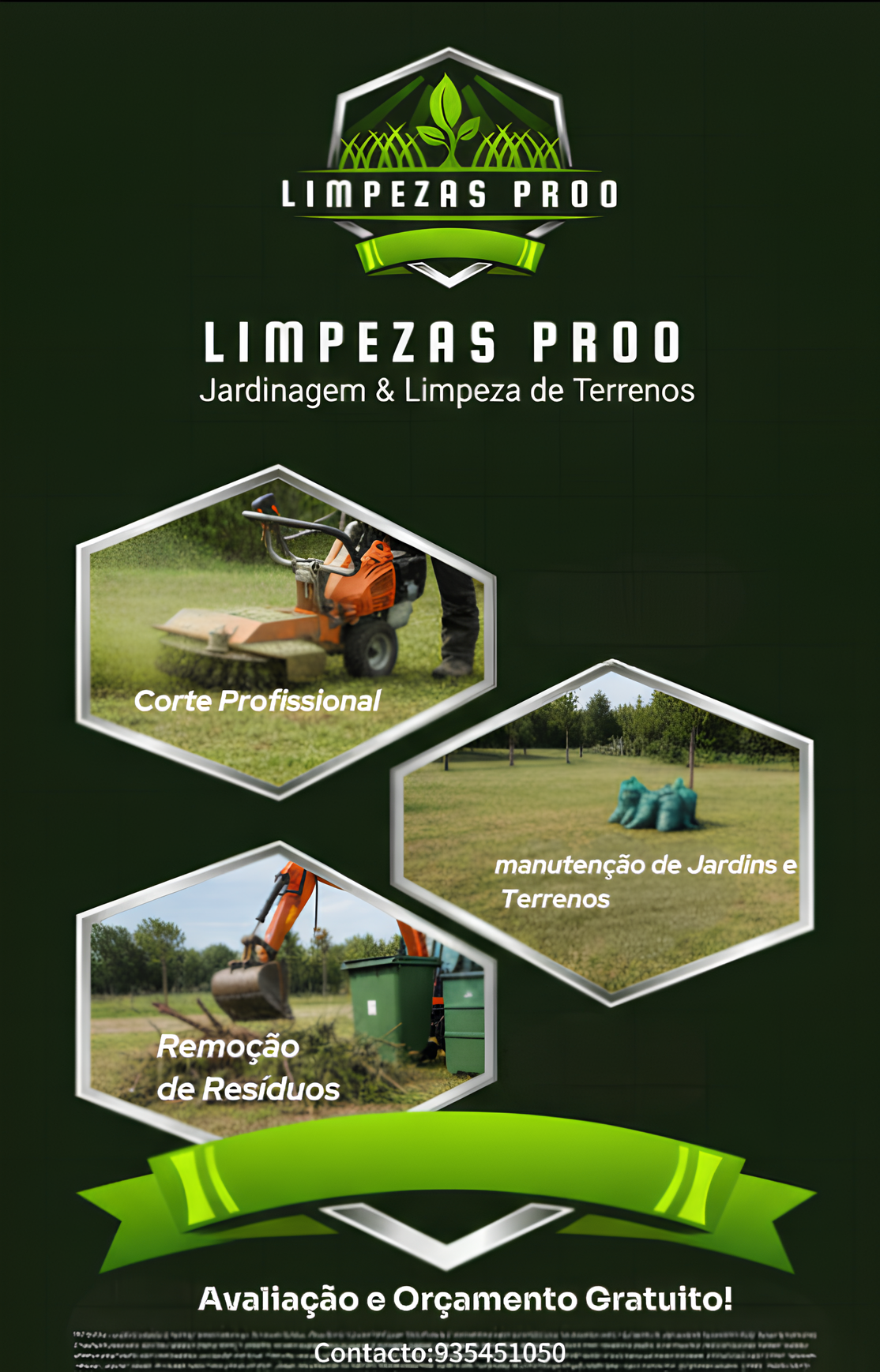 LimpezasProo - Aveiro - Élagage et entretien des arbres