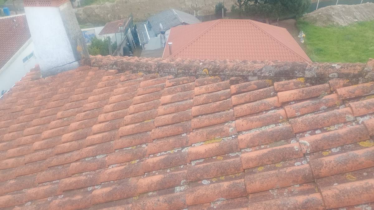 Ks - Barcelos - Tratamento de Relvado