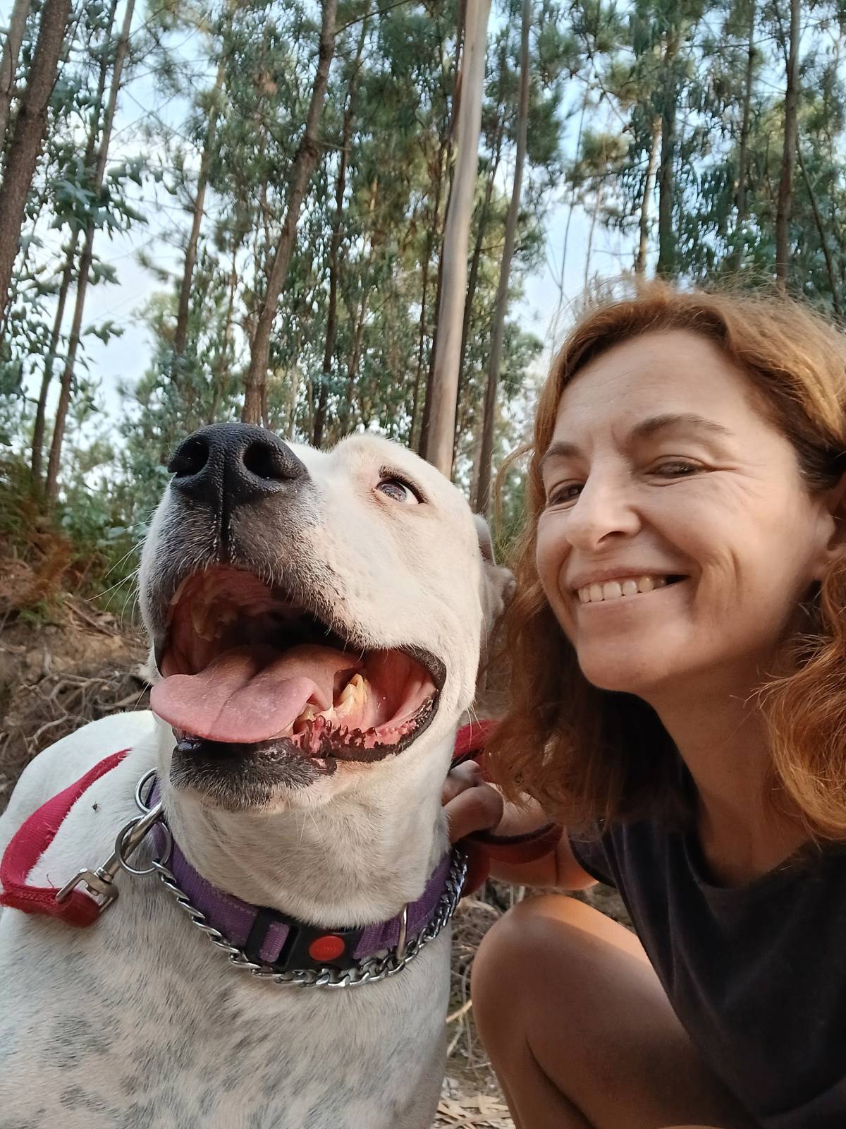 Marta Lima - Trofa - Pet Sitting e Pet Walking