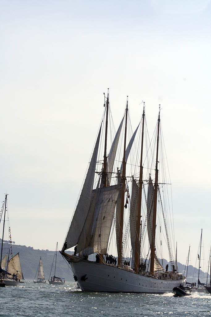 Rosário Leite - Cascais - Explicações de Biologia