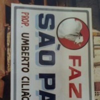 Pinturas Eduardo - Sesimbra - Muralist