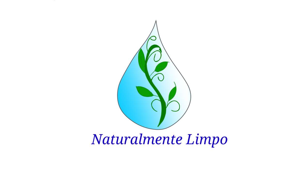 Naturalmente limpo - Tomar - Limpeza de Telhado