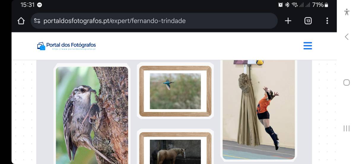 Portal dos Fotógrafos - Vila Franca de Xira - Fotografia de Crianças