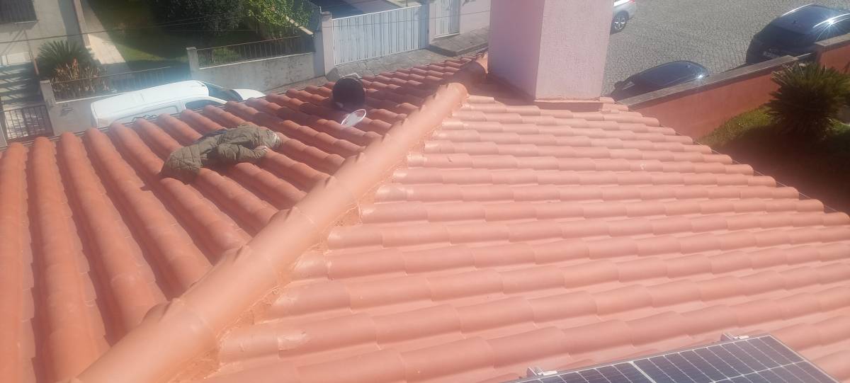 Ks - Barcelos - Corte e Aparação de Relvado