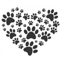 SosPets - Porto - Dog Training - Private Lessons