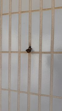 PB soluções - Figueira da Foz - Montagem de Candeeiros