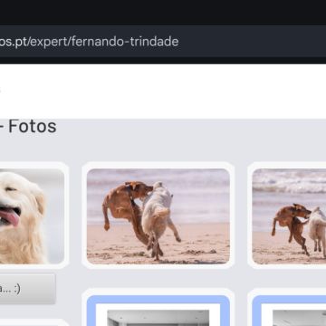Portal dos Fotógrafos - Vila Franca de Xira - Sessão Fotográfica