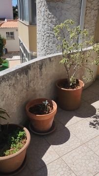 Pintor de Exterior