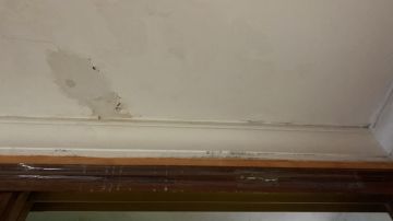 Woodwork and Carpentry