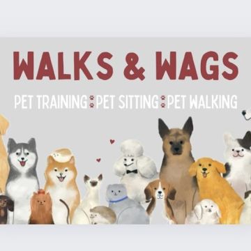 Miriam Sá - Braga - Pet Training