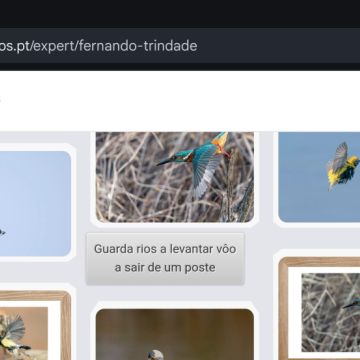Portal dos Fotógrafos - Vila Franca de Xira - Fotografia Comercial